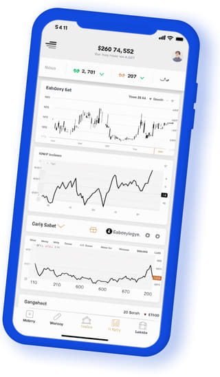 North Vaultis digital web application on mobile device